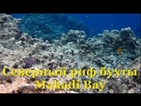 Обзор северного рифа