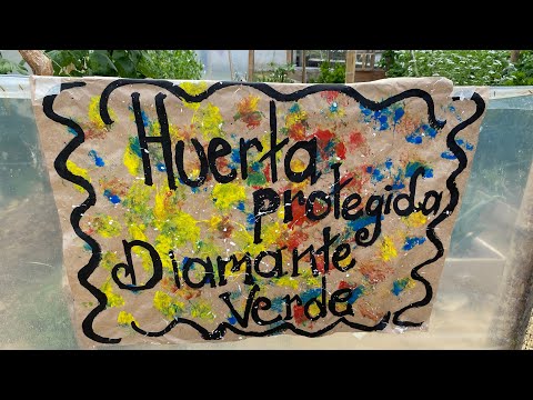 Huerta  Escolar Diamante Verde CER La Linda Toledo Antioquia