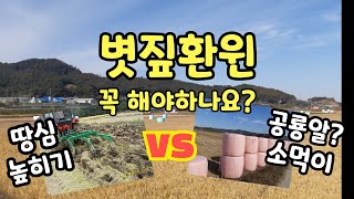 논 볏짚환원 땅심높히기 VS 국산 조사료 사일리지 곤포ㆍ 볏짚환원 주의사항 등