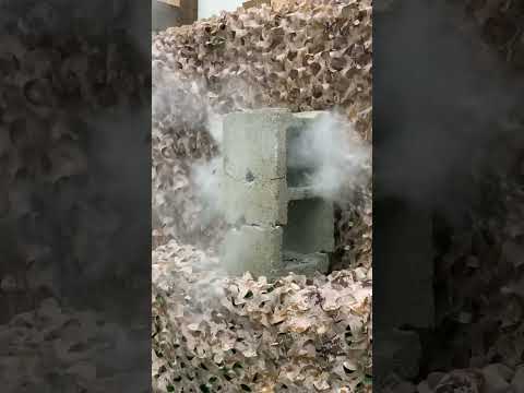 Walther Reign v Hatsan Air Max