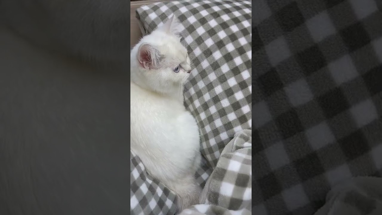 YRF-College Lniana narzuta na łóżko,Zestaw pościeli College,College Lniana narzuta na łóżko