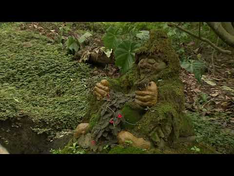 Florida Municipio Ambiental - Cuentos Verdes 23 de febrero 2026