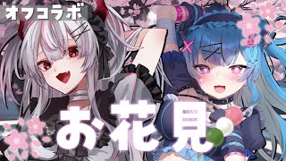 【オフコラボ】なぉたさんとぽしゃけお花見 #shorts #vtuber