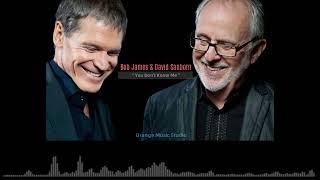 Bob James &amp; David Sanborn  - You Don't Know Me