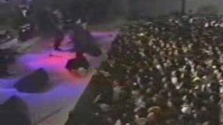 Los Angeles Negros - Si Las Flores Pudieran Hablar