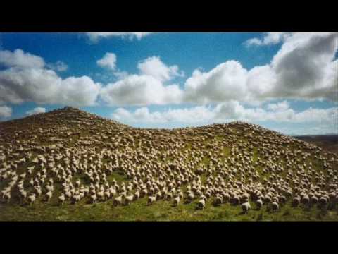 julien dyne - new new zealand