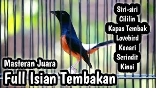 Download lagu MASTERAN MURAI BATU FULL ISIAN TEMBAKAN SIRI SIRI CILILIN KENARI KAPAS TEMBAK KINOI LOVEBIRD mp3 Download lagu MASTERAN MURAI BATU FULL ISIAN TEMBAKAN SIRI SIRI CILILIN KENARI KAPAS TEMBAK KINOI LOVEBIRD mp3