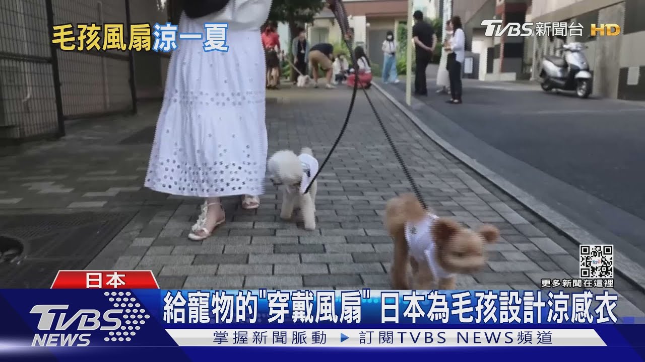 給寵物的「穿戴風扇」 日本為毛孩設計涼感衣