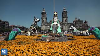 Tonantzin convoca a la ofrenda monumental de Día de Muertos en el Zócalo de la Ciudad de México