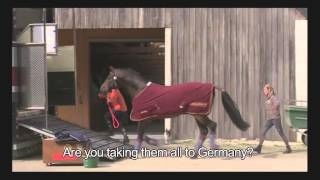 Of Women and Horses / Sport de filles (2012) - Promo reel ENG SUBS