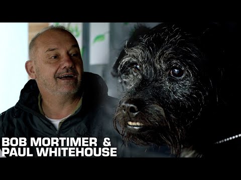 Bob, Paul, & Ted Visit A Dog Shelter | Gone Christmas Fishing | Bob Mortimer & Paul Whitehouse