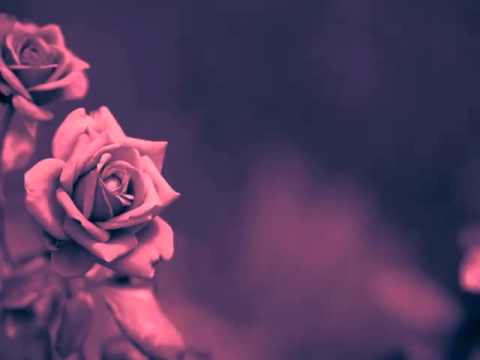 Emina Zečaj - Kad ćeš Aljo u Saraj'vo