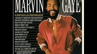 Marvin Gaye /   You&#39;re A Wonderful  One