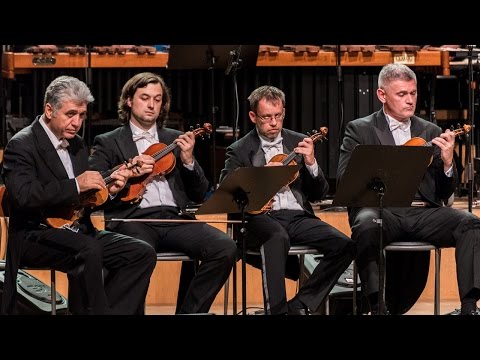 Vivaldi Summer 2nd mov by M.Meštrović