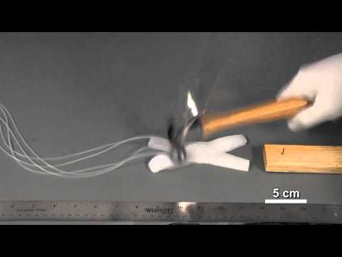 Soft Robotic Quadruped vs. Hammer