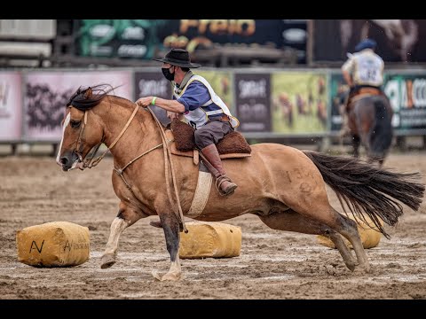 Monarca da Dom Manoel