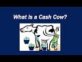 What Is A Cash Cow