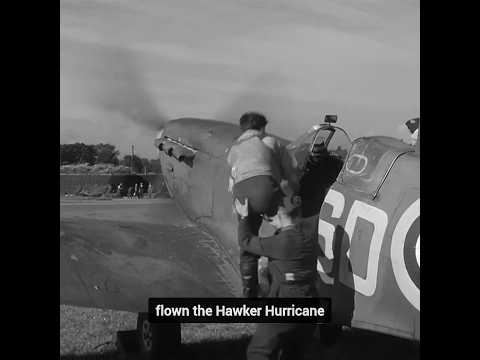 501 Squadron: The Spitfire Pilots Who Fought in France and Britain - #shorts #short