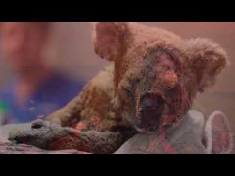 Run Run Run- by Jesse Lazaroo