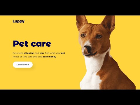 Pet Sitting & Pet Care & AI