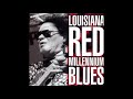 Louisiana Red -  Red's Vision