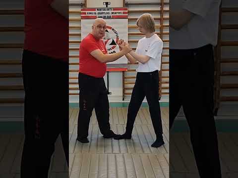 Wrist Lock Safety: Neutralize Punching & Kicking!  #selfdefense #martialarts