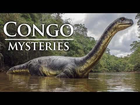 You Won't Believe What's Hidden Deep in The Congo Jungle…