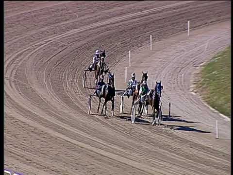 Trotto 19/10/2019 - 2ª prova di qualifica