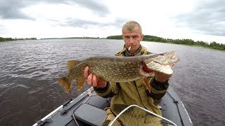 Рыбалка на волге троллингом открытие сезона