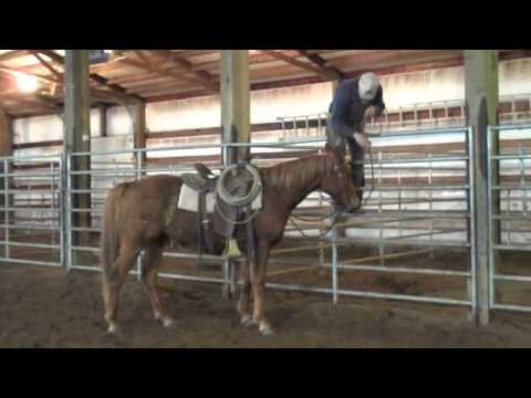 Colt Starting at McGinnis Meadows Ranch