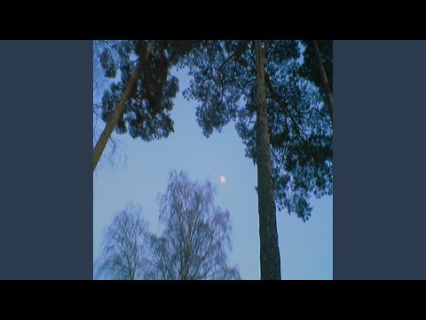 Video thumbnail for дерево (tree)