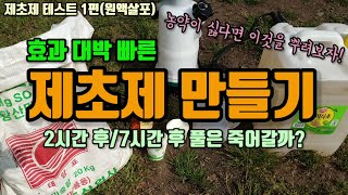효과빠른 친환경 제초제 만들기 1편(원액살포) 식초와 황산마그네슘(엡솜염)을 이용해 제초제를 만들어보았습니다…
