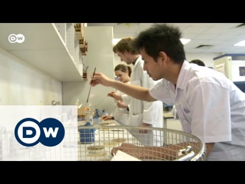 Training to be a beer brewer in Germany | Made in Germany ...