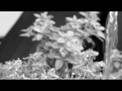 Mertkan D. YILMAZER - Kendi Kendime