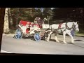Elmo World Horses Footage