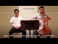 Professional Vs Beginner Cellist