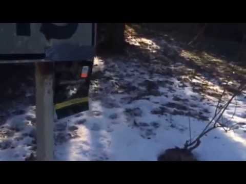 Full Metal 450 FPS M16A1 vietnam review and shooting test