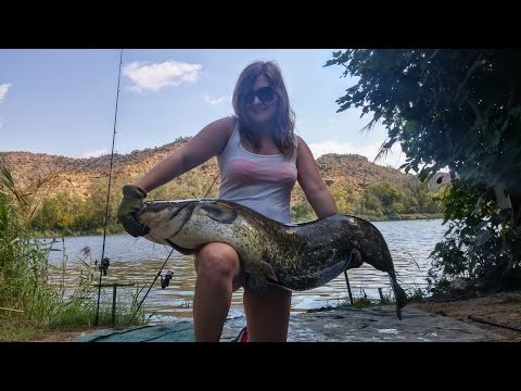 Catfishing at Ebro Mad Cats, River Ebro, Spain.