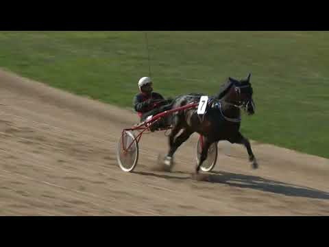 2018.04.14 5 futam Ügető