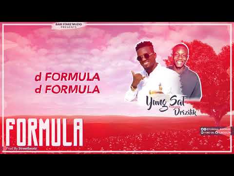 Formula - Yung Sal X Drizilik (Official Lyric Video)