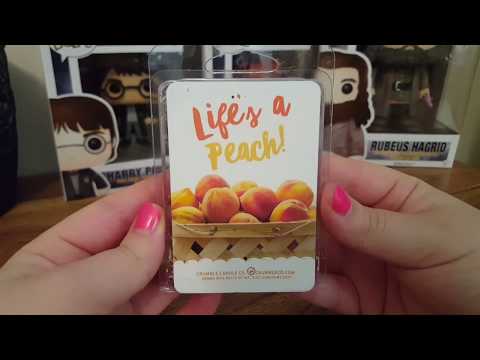 download lagu mp3 mp4 Doggy Crumbles, download lagu Doggy Crumbles gratis, unduh video klip Doggy Crumbles