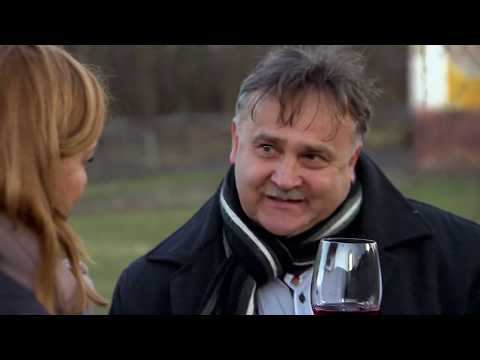 Gasztroangyal 6. rész - Mezőhegyes (2016)