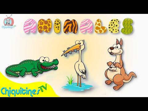 El Sonido de los Animales - Más animales !