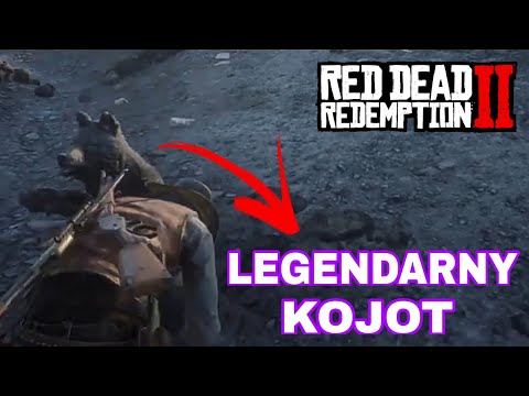 Polowanie na LEGENDARNEGO KOJOTA | Red Dead Redemption 2