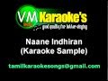 Naane Indhiran Karaoke Sample