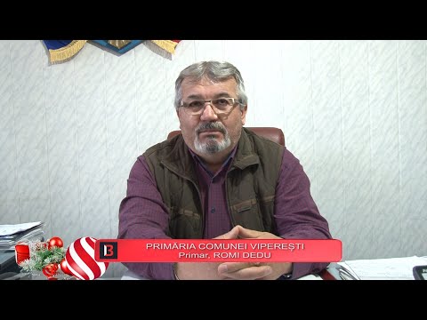 Dedu Romi, primarul comunei Viperești