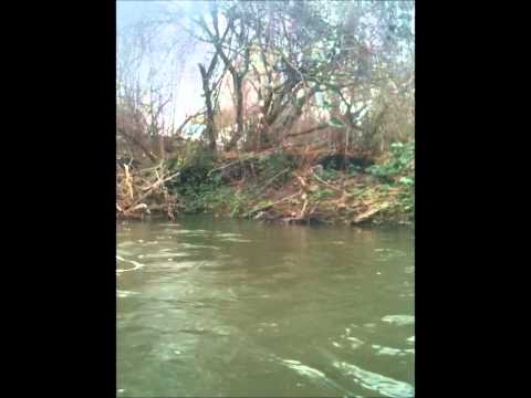 A Short Video of the Creeks Murky Waters