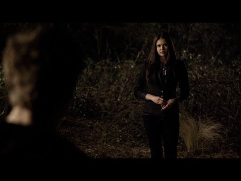 TVD 1x20 - "I should've died that night and I should've let Damon die too" | Delena Scenes HD