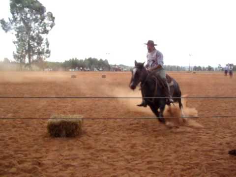 Figura Hortência do Ribeirão Bonito