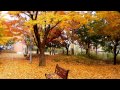 Video 2014-1-221 Autumn music/50   CARLA BRUNI "Autumn"